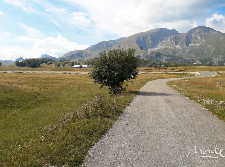 Land  Zabljak, Montenegro