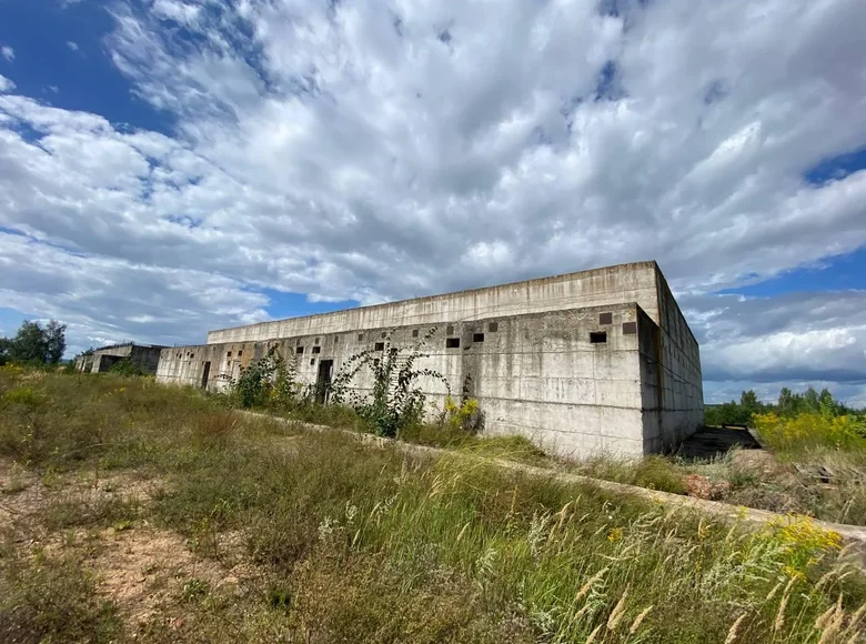 Propriété commerciale 733 m² à Smaliavitchy, Biélorussie