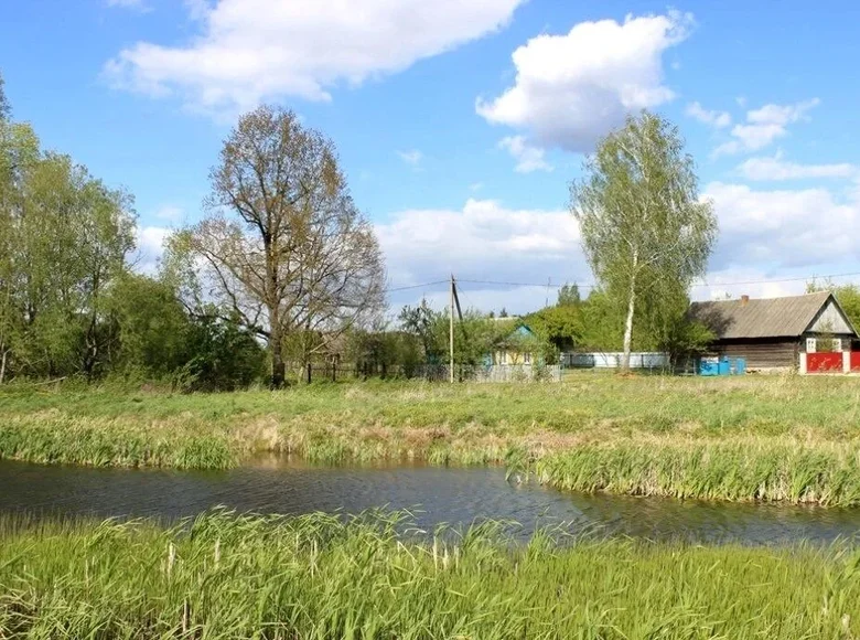 Haus 45 m² Dziescanski sielski Saviet, Belarus