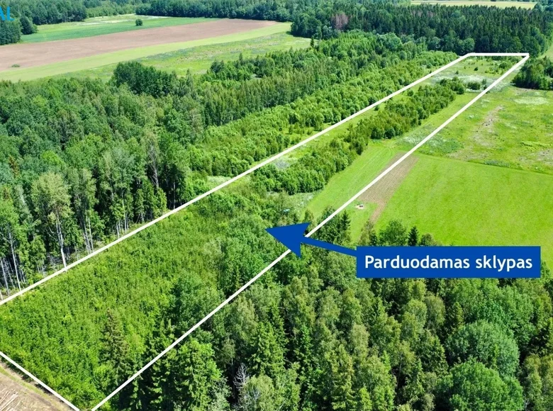Działki  Stara Wieś, Litwa