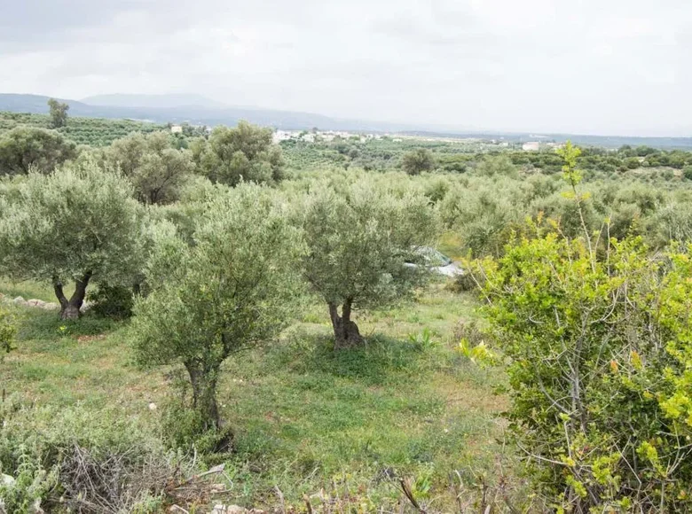 Land 1 room  Prinos, Greece