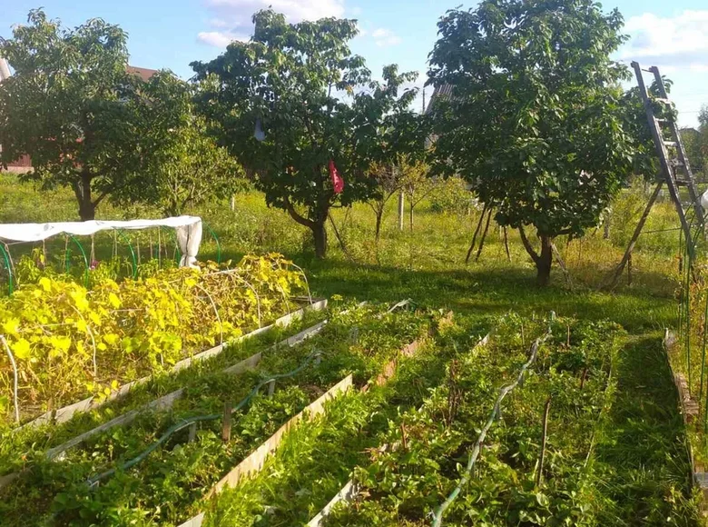 Grundstück  Astrosycki sielski Saviet, Belarus