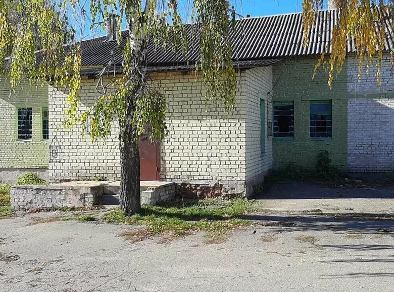 Shop 194 m² in Pryvolny, Belarus