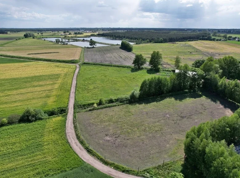 Parcelas 5 159 m² Krosinko, Polonia