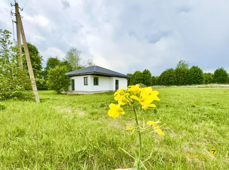 Haus 100 m² Dabryniouski sielski Saviet, Belarus