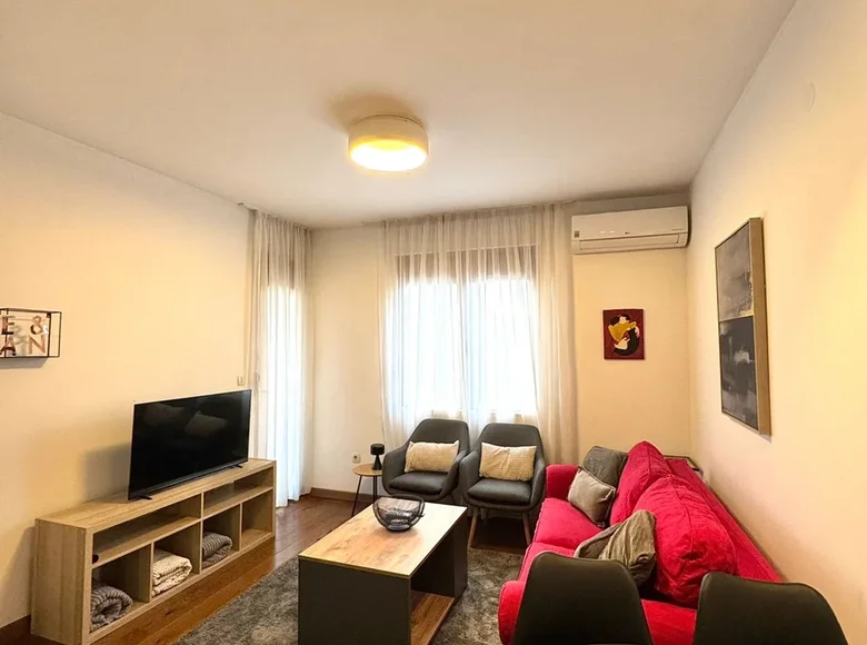 Apartamento 1 habitacion 452 m² Montenegro, Montenegro