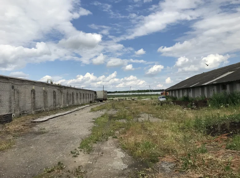 Commercial property 1 room 850 m² in Pudost, Russia