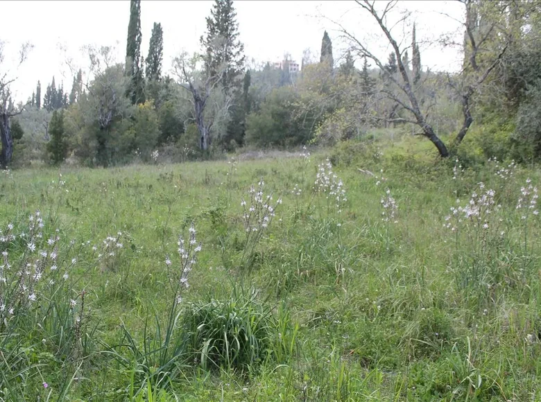 Atterrir 1 chambre  demos kerkyras, Grèce