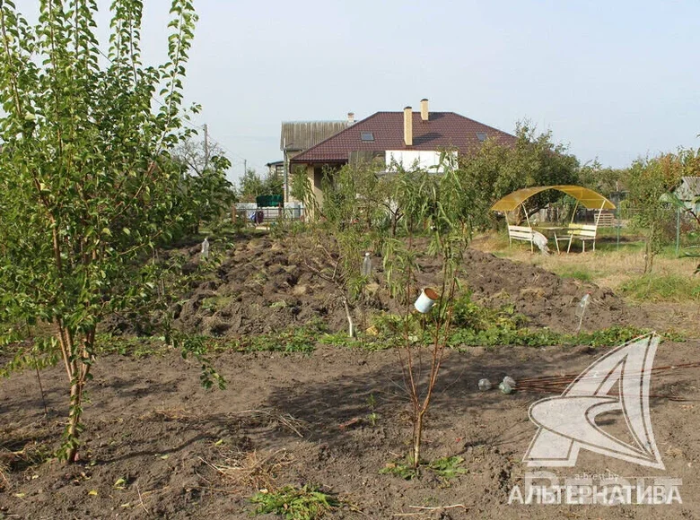 Land  Brest, Belarus