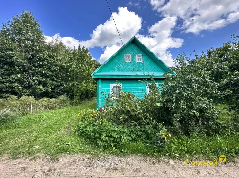 House 101 m² Visnieuski sielski Saviet, Belarus