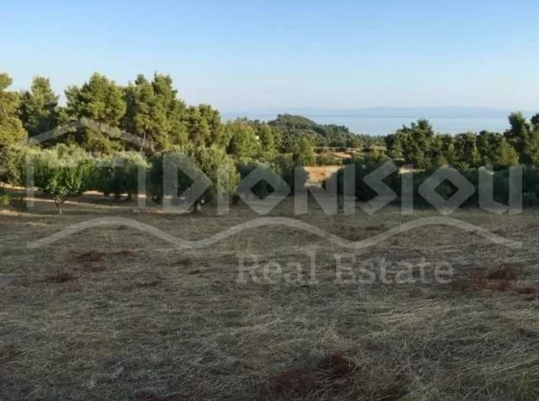 Parcelas 8 687 m² Pefkochori, Grecia