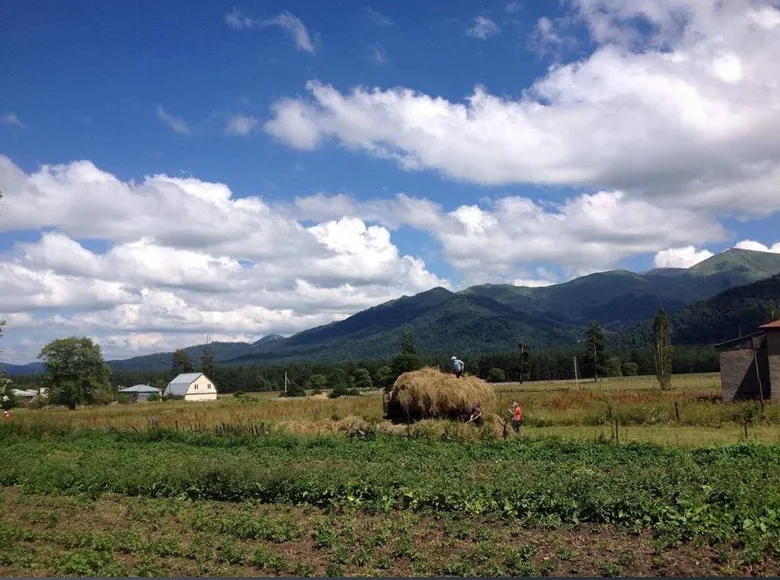 Działki 24 999 m² Tsikhisjvari, Gruzja