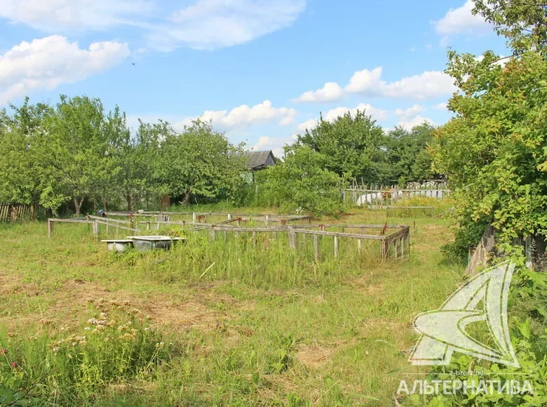 Land  Brest, Belarus