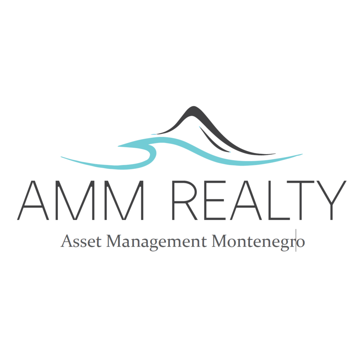 AMM Realty
