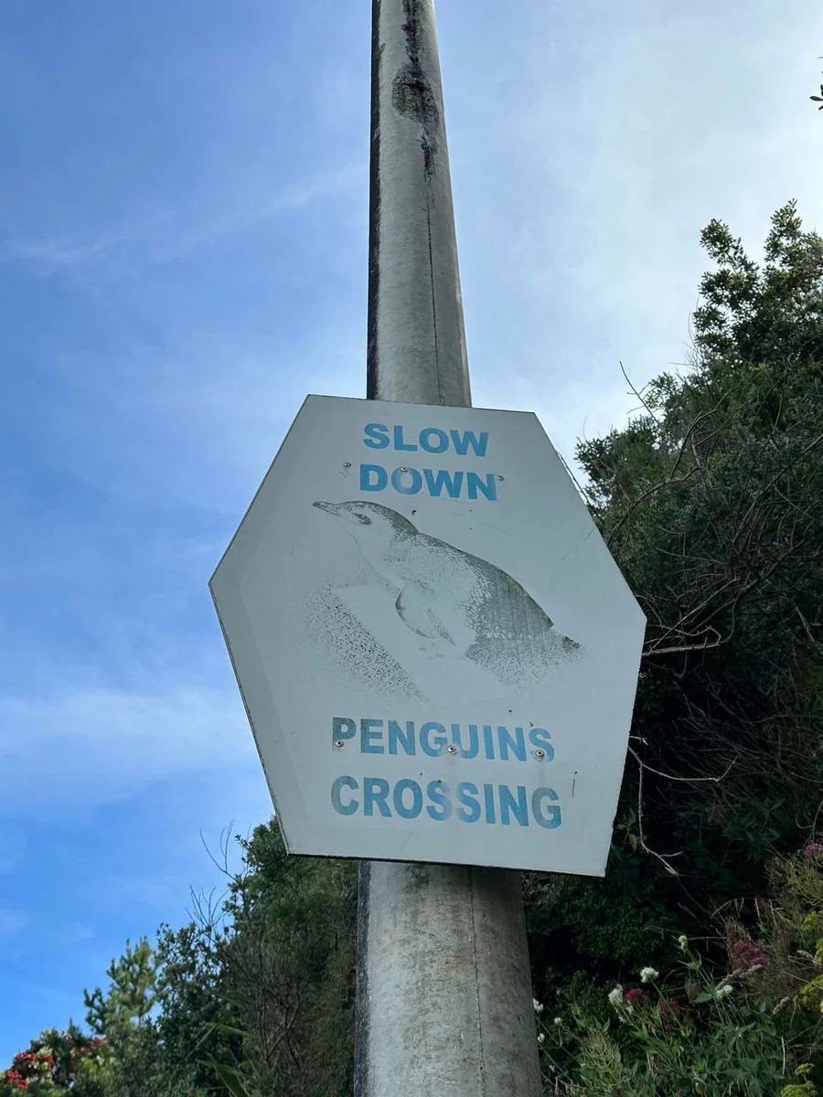 A sign warning of walking penguins