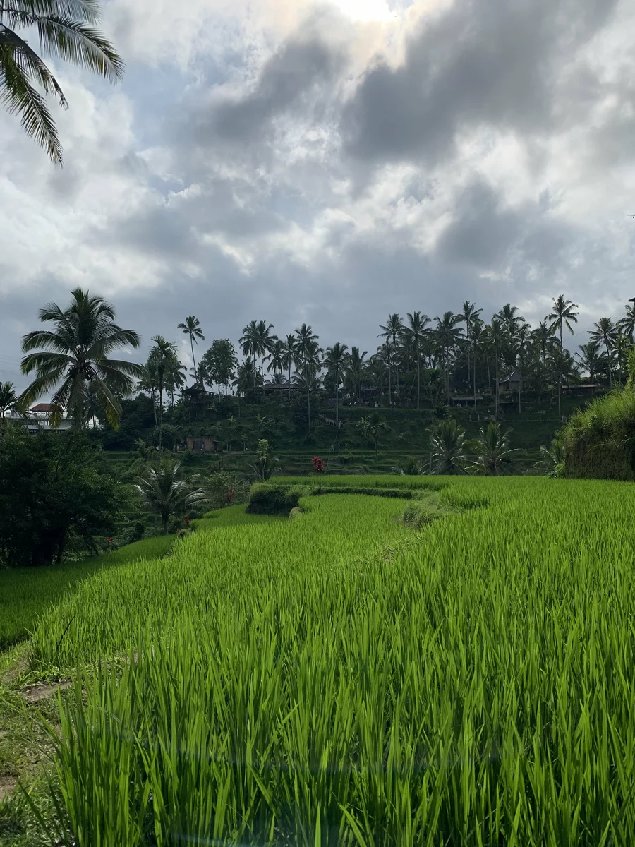 Balijskie krajobrazy