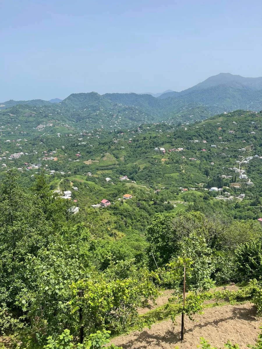 mountain house view 