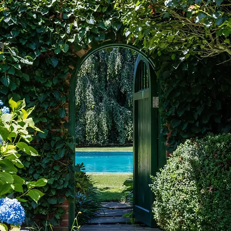 the doors leading to the pool from Robert Downey Jr.'s house.