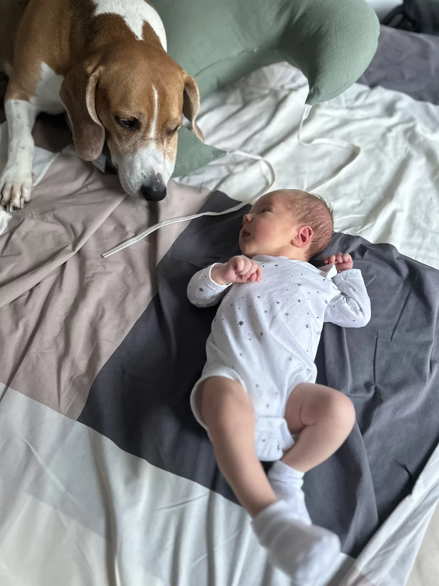 a dog and a baby lying next to each other on the bed 