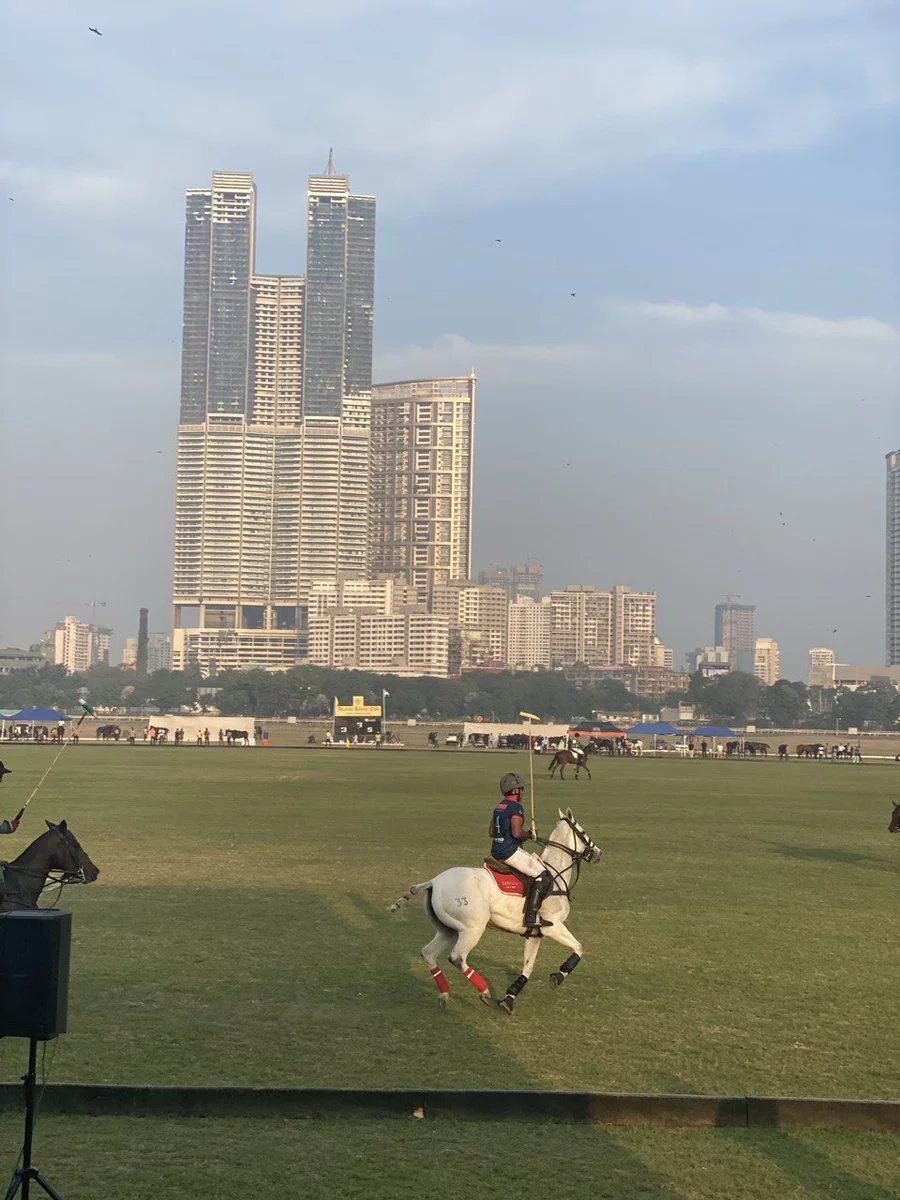 лошадиные гонки в Мумбаи