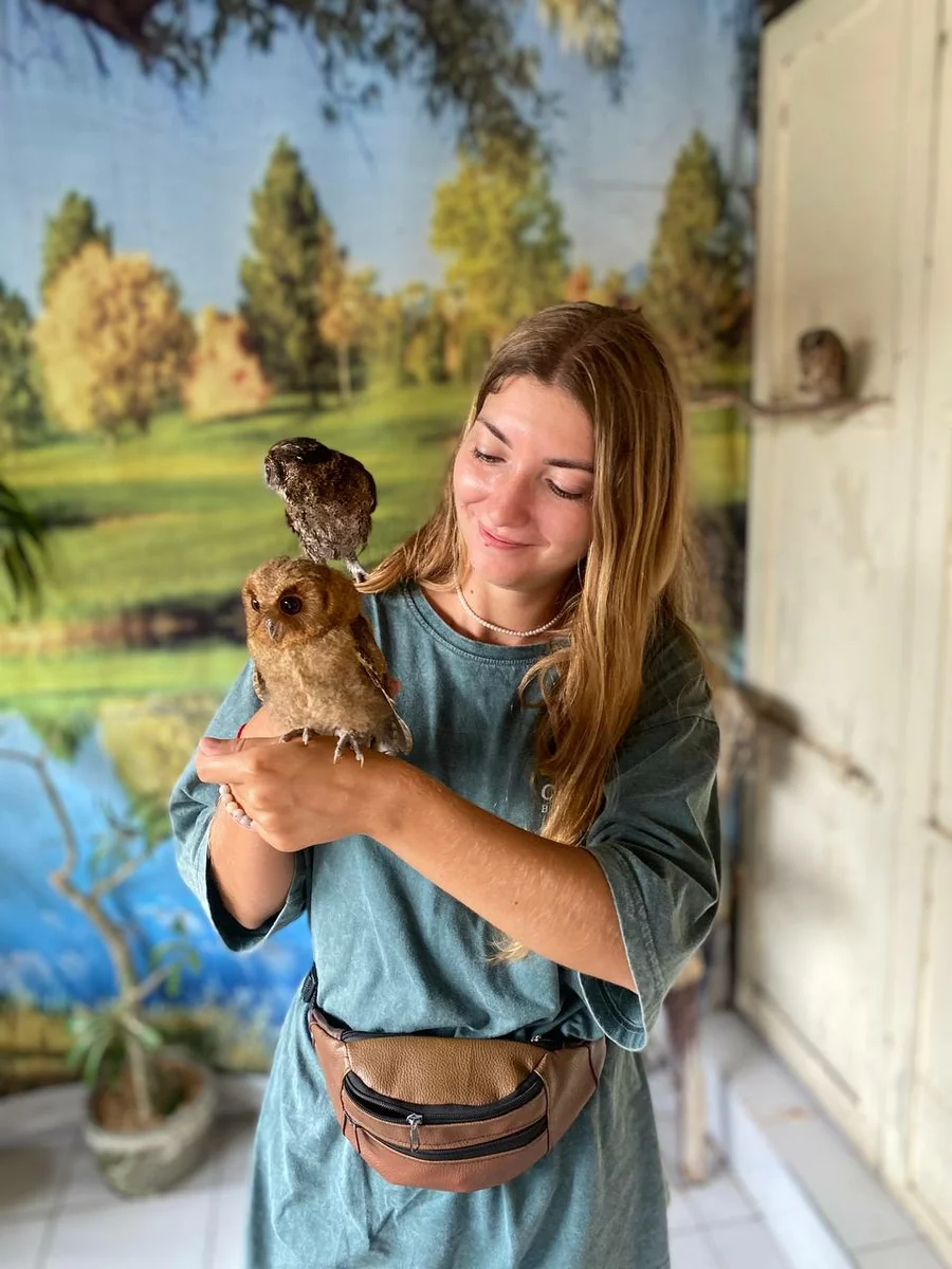 the girl looks at the birds in her hands