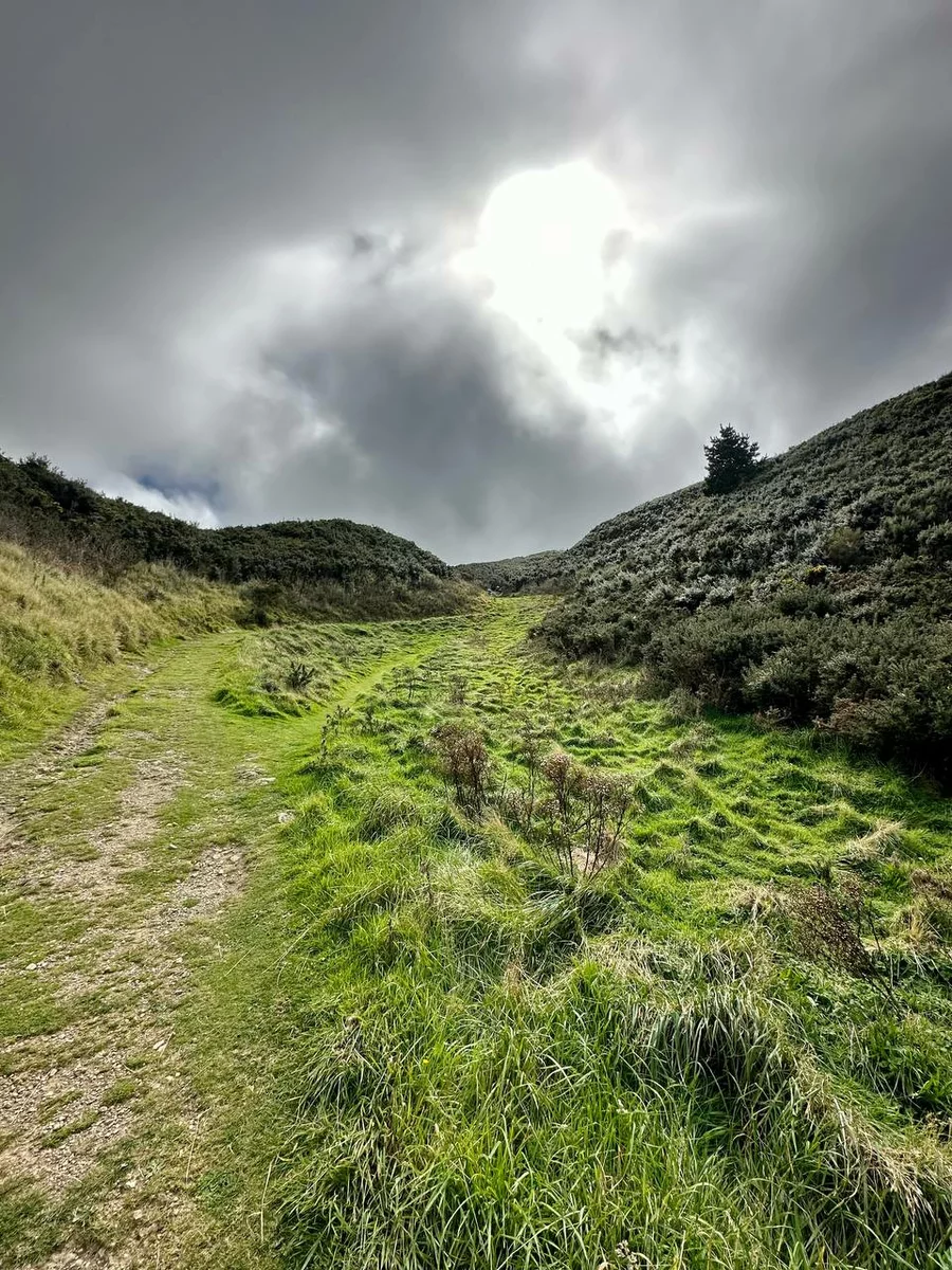 Nature of New Zealand