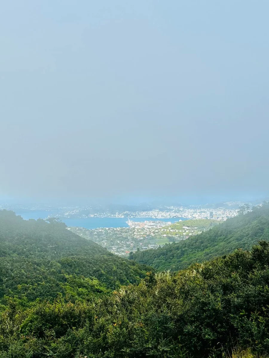 Fog over Wellington