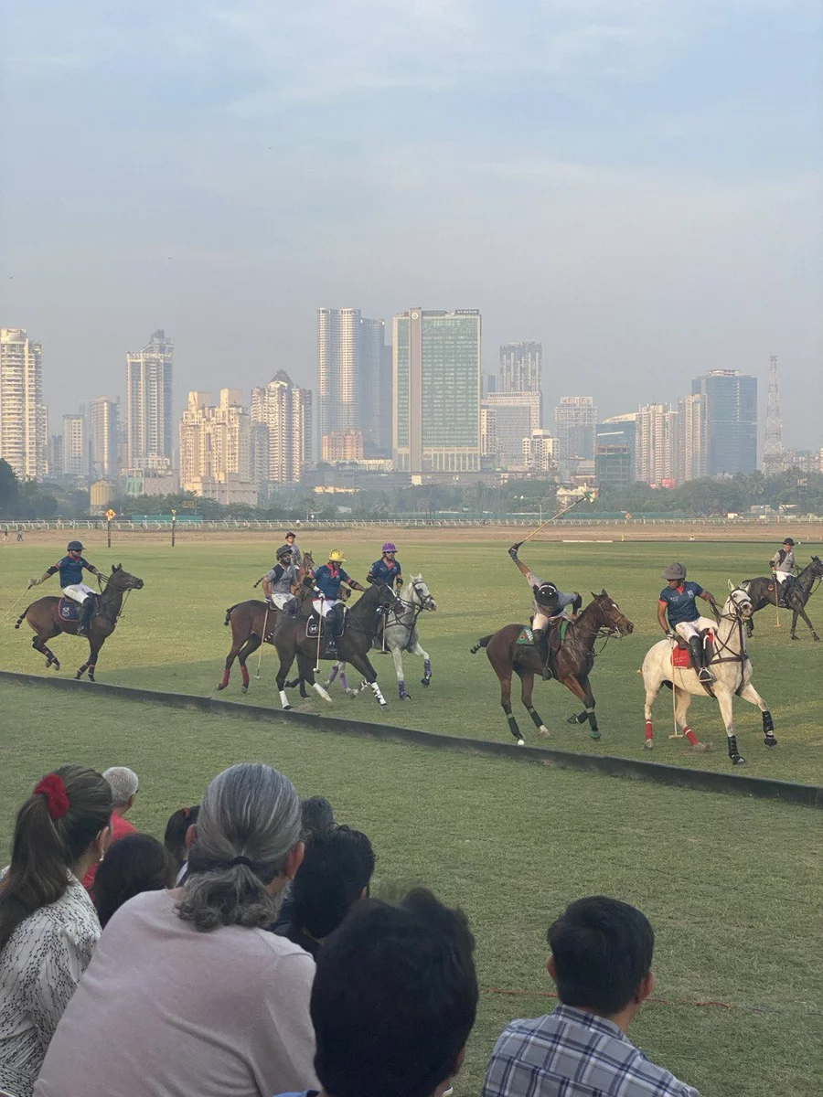 конные гонки в Мумбаи