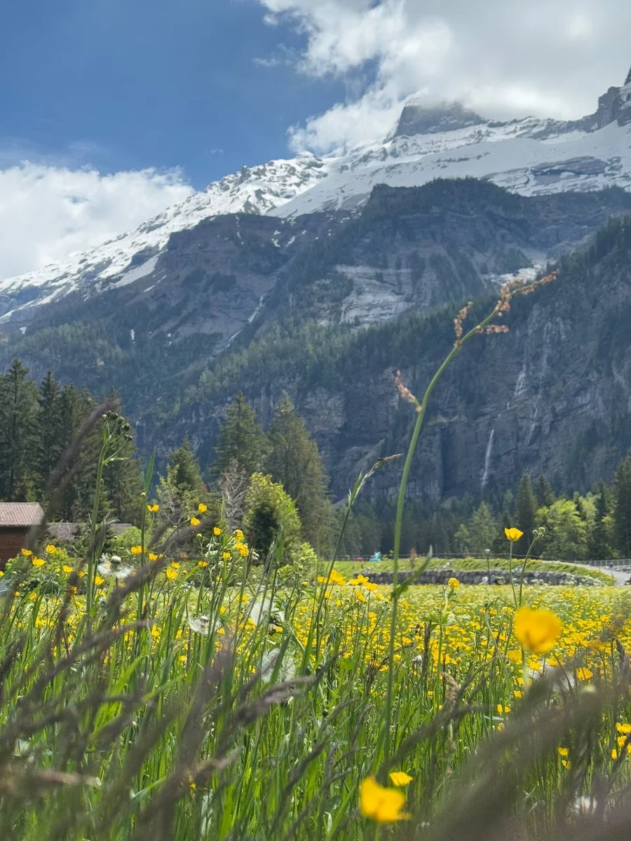Альпийская деревня Кандерштег, Швейцария