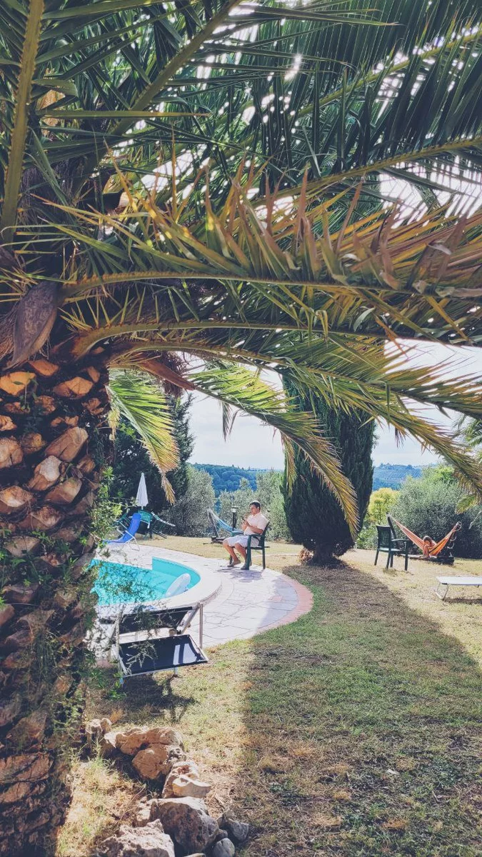 A palm tree with a man reading a book in the background