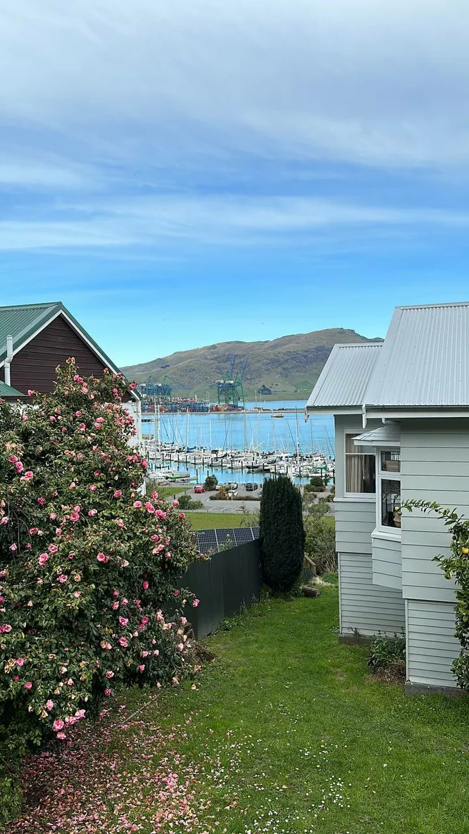 Новая Зеландия, вид на океан и пристань