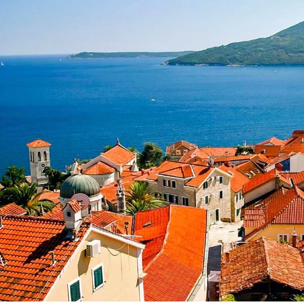 Best Adriatic Property
