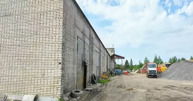 Entrepôt 146 m² dans Baraulianski sielski Saviet, Biélorussie