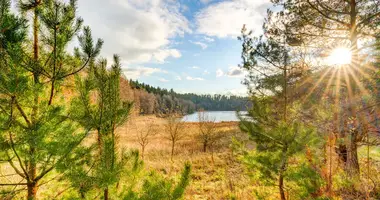 Участок земли в Zuklijai, Литва