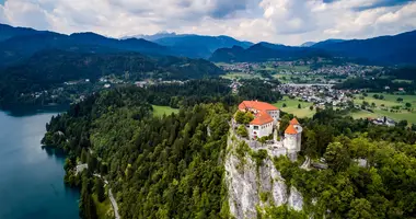 How to buy property in Slovenia: detailed guide