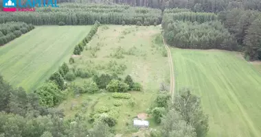 Plot of land in Alytus, Lithuania
