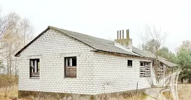 House in Lielikava, Belarus