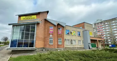 Gewerbefläche 318 m² in Minsk, Belarus