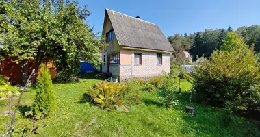 House in Aliachnovicki sielski Saviet, Belarus