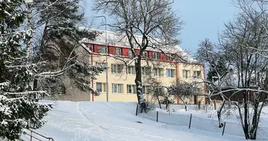 Apartamento 2 habitaciones en Kupiskis, Lituania