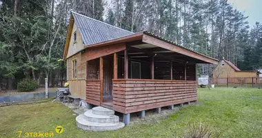 Casa en Piekalinski siel ski Saviet, Bielorrusia