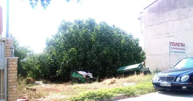 Terrain dans Agios Prodromos, Grèce