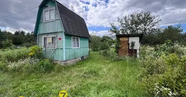 Grundstück in Zodzinski sielski Saviet, Belarus