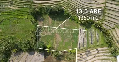 Plot of land in Pandak Bandung, Indonesia