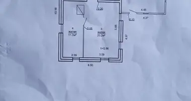 Dom w Karaniouski siel ski Saviet, Białoruś