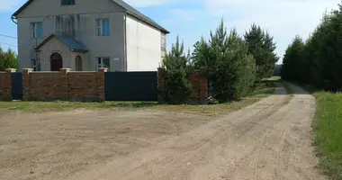 Dom wolnostojący w Barauski sielski Saviet, Białoruś
