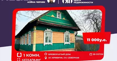 House in Kryvichy, Belarus