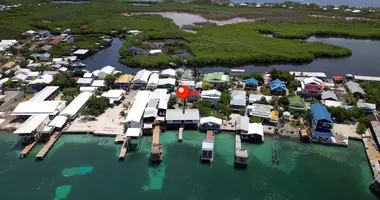 Дом 5 спален в Utila, Гондурас