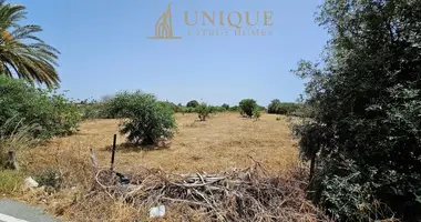Plot of land in Agia Marinouda, Cyprus