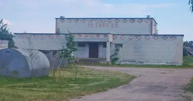 Warehouse 622 m² in Karaliova, Belarus